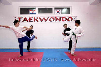 taekwondo kwon training
